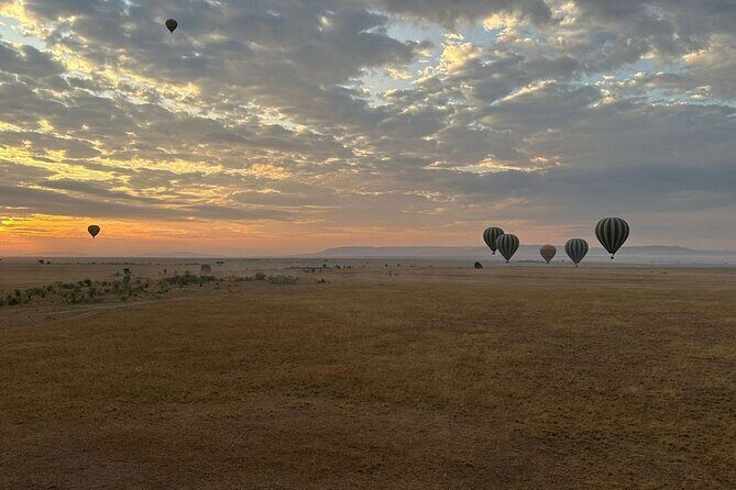 11-Day Wildebeest Migration Serengeti, Mara, Ngorongoro Crater. - What Makes This Tour Stand Out?