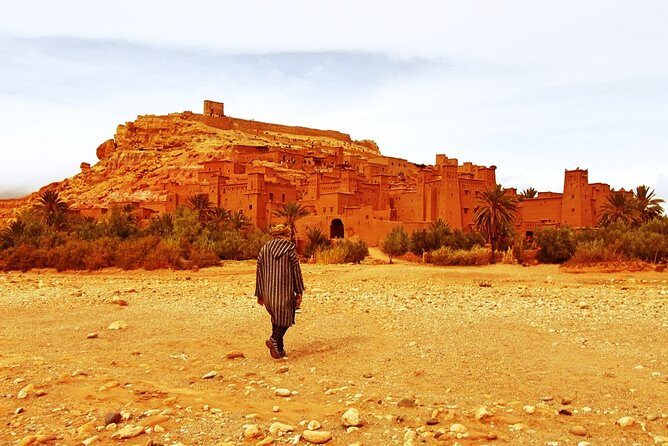 11 Days Adventurous Must-Do Morocco Cultural Tour from Casablanca - Why This Tour Offers Great Value