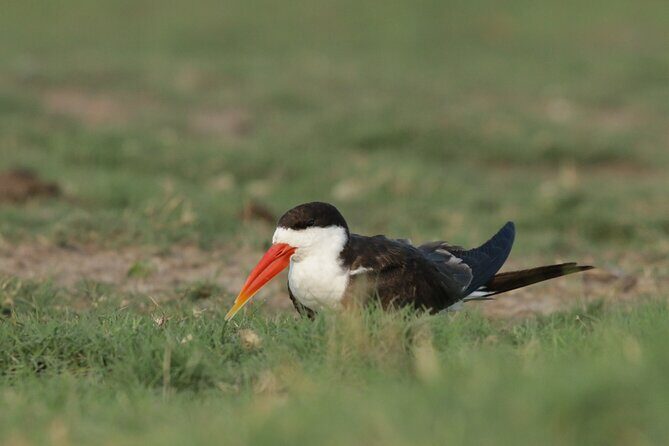 11 Days and 10 Nights Private Northern Explorer Tour - Who Will Love This Safari?