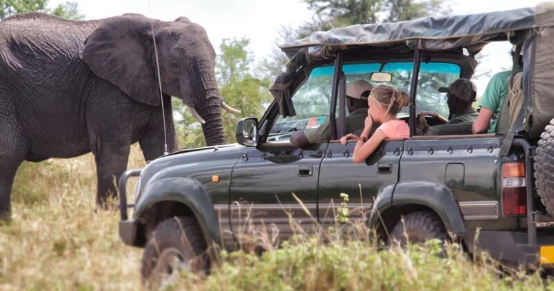 11 Days Best Kenya & Tanzania with Serengeti Safari Journey - Final Thoughts