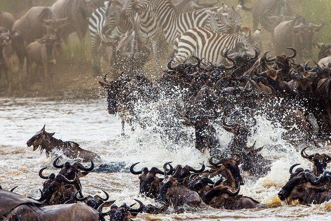 11-Days Best of Kenya & Tanzania Big 5 Safari on a 4x4 Jeep - Key Points