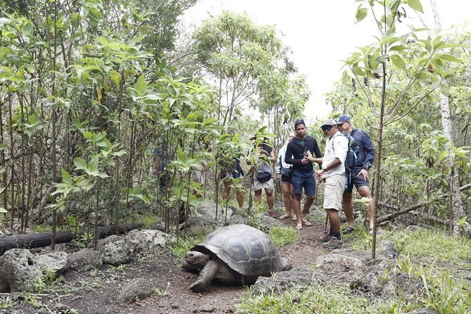 11-days-galapagos-full-experiences-santa-cruz-isabela-san-cristobal