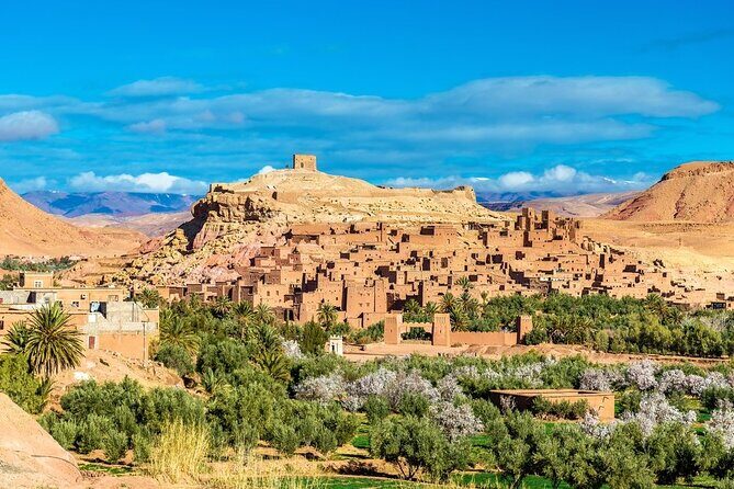 11 Days Grand Morocco Tour from North to South - What Makes This Tour Worth Considering?