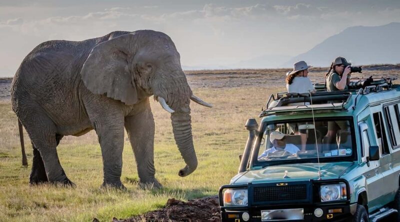11 Days Kenya and Tanzania with Serengeti: A Safari Journey - Key Points