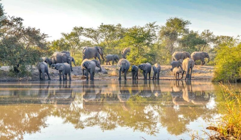 11 Days Kenya Safari Tour on 4x4 Landcruiser Jeep - Introduction