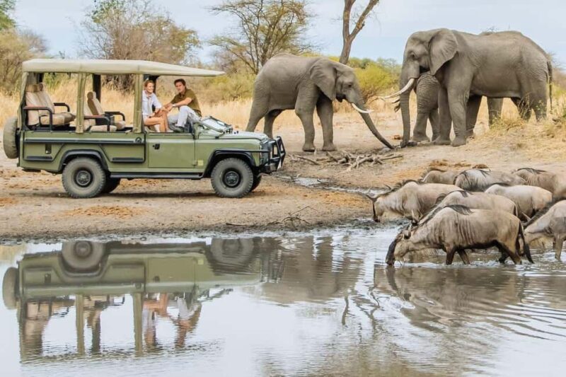 11 Days Kenya Safari Tour on 4x4 Landcruiser Jeep - Why This Tour Offers Great Value