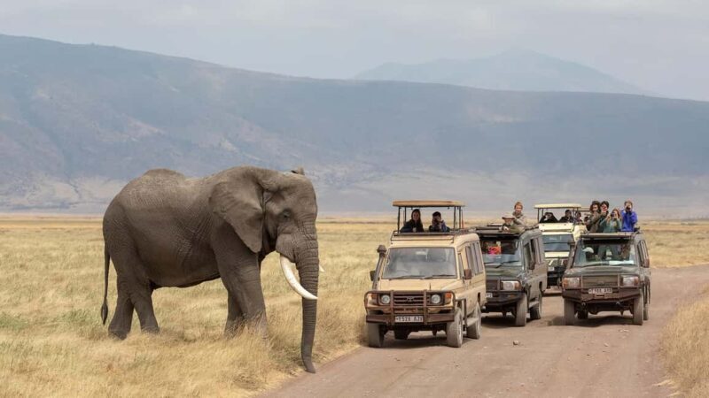 11 Days Kenya Safari Tour on 4x4 Landcruiser Jeep - FAQ
