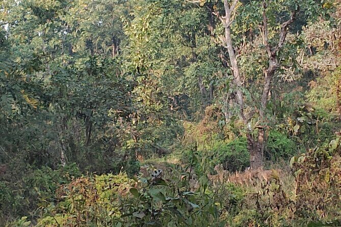 11 Days Nepal Round Tour - The Sum Up