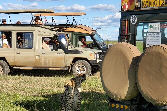 11 Days Private Tour to Explore Amboseli and Samburu - A Detailed Look at This Kenyan Safari Adventure