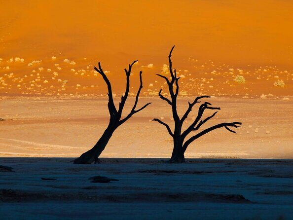 11 Days Small Group Namibia Experience Fully Accommodated Tour - Key Points