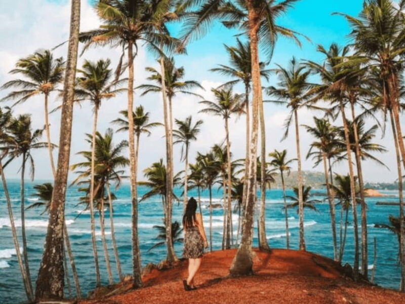 11-days-sri-lanka-tour-with-private-chauffeur-vehicle
