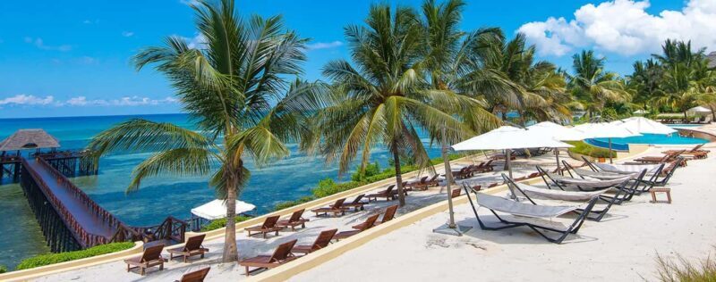 11 Days Tanzania Big Five Wildlife Safari and Zanzibar Beach - A Detailed Look at the 11-Day Tanzanian Safari and Zanzibar Experience