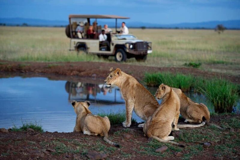 11 Days Tanzania Big Five Wildlife Safari and Zanzibar Beach - Who Will Appreciate This Tour?