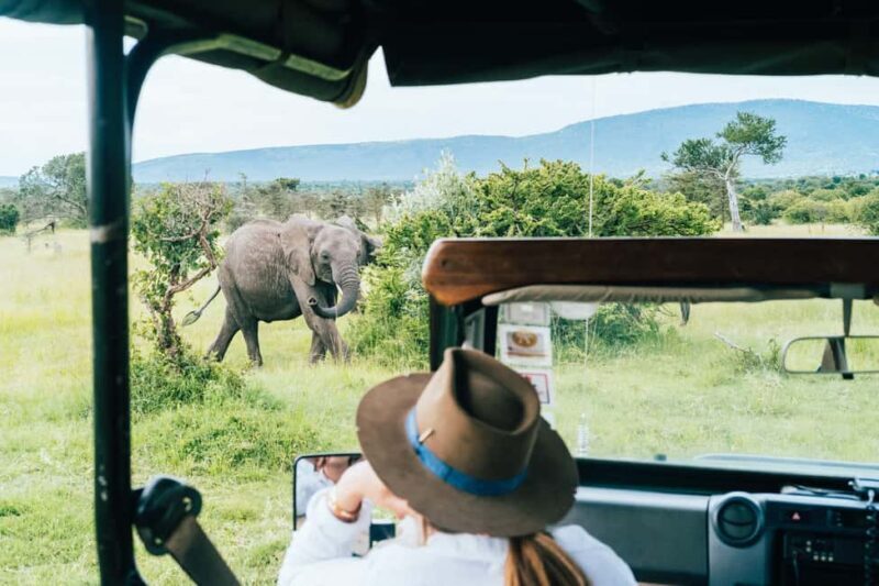 11 Days Tanzania Big Five Wildlife Safari and Zanzibar Beach - Final Thoughts
