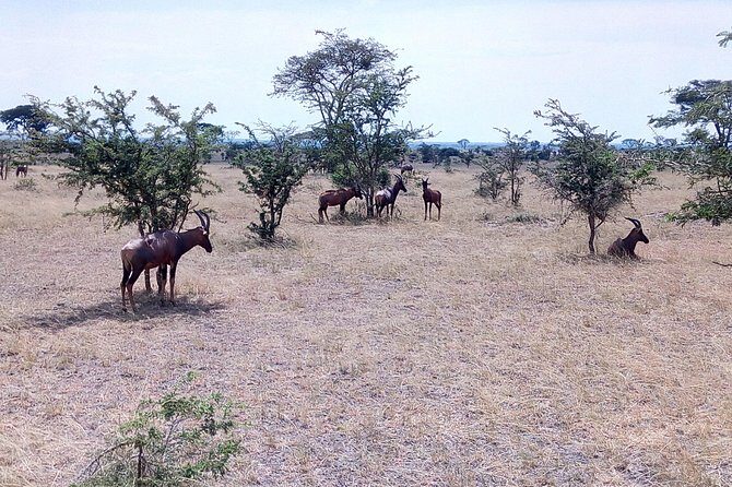 11 Days Uganda +Gorillas - What’s Included and What’s Not