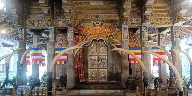 11-nights-12-days-round-trip-in-sri-lanka-nature-culture-local-experiences