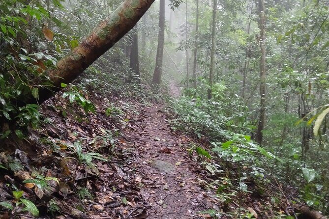 11km Scred Mountain Hike - FAQ