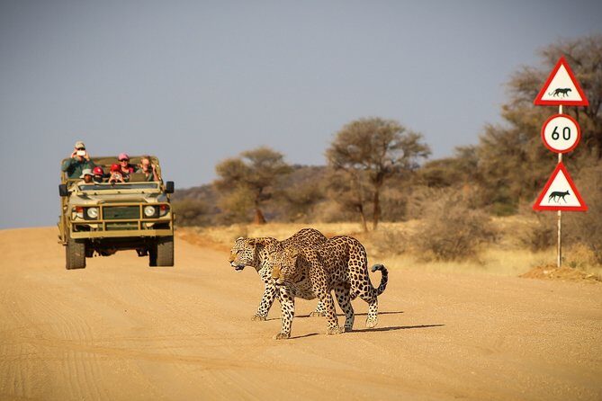 12 Day Classic Namibia Camping Safari - An In-Depth Look at the Itinerary