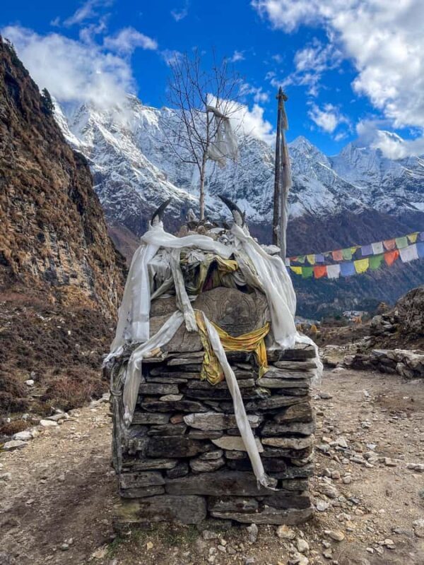 12-Day Couple Goal Private Manaslu and Larkya La Pass Trek - What Makes This Trek Stand Out