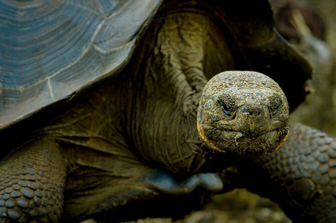 12-day-galapagos-superior-adventure-tourist-class