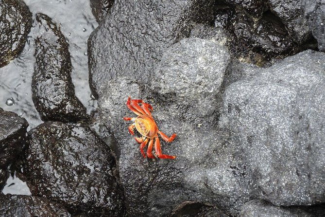 12-day-galapagos-superior-adventure-tourist-class