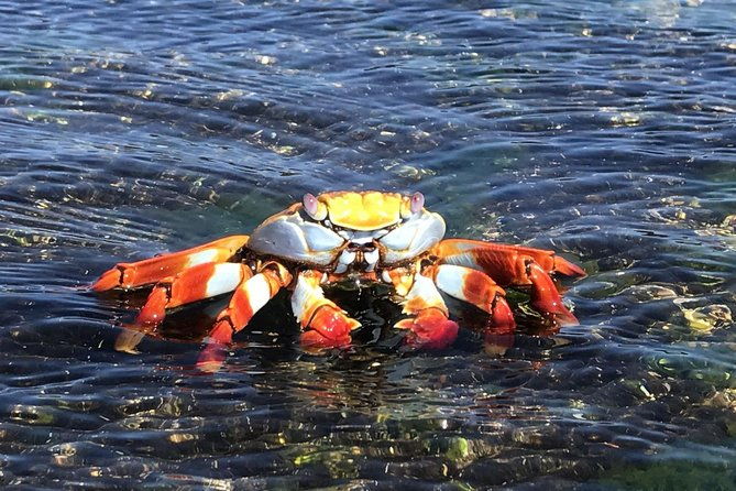 12-day-galapagos-superior-adventure-tourist-superior-class