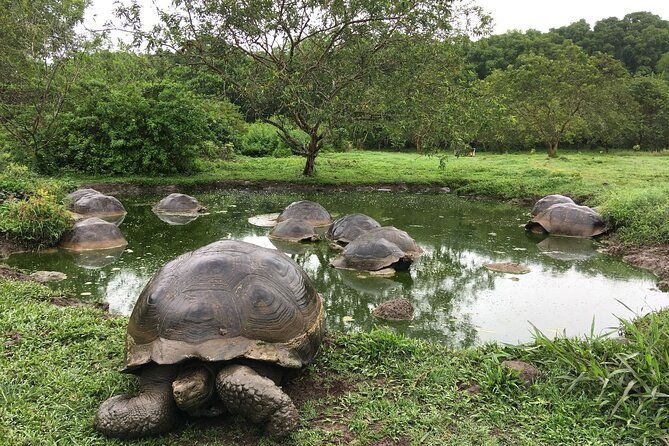 12-day-galapagos-superior-adventure-tourist-superior-class