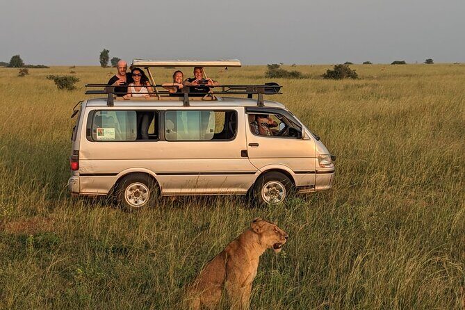 12-Day Moderately Priced Pearl of Africa - Uganda Private Safari - Starting Strong: Mabamba Swamp and Ziwa Rhino Sanctuary