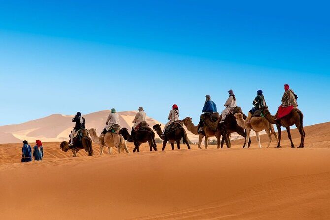 12 Day Morocco Discovery Private Tour - Key Points