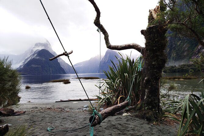 12 Day New Zealand Private Tour from Auckland to Stewart Island - Why This Tour Offers Great Value