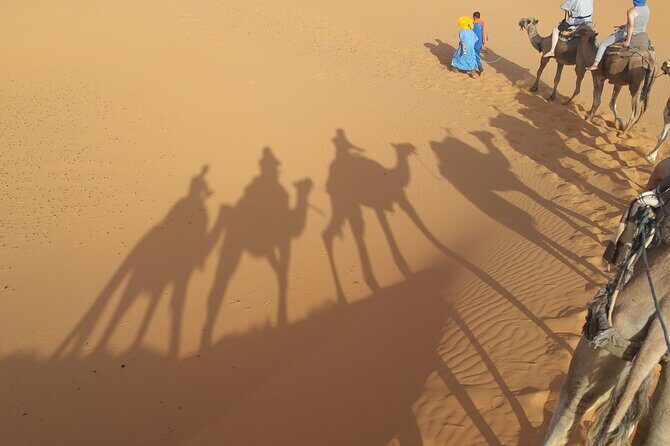 12-Day Private Moroccan Cities and Deserts Tour - FAQ