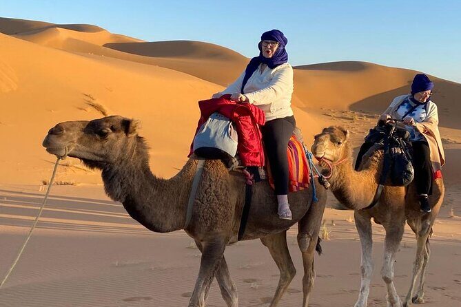 12-Day Private Tour in Morocco with Food and Wine - Final Thoughts on the Tour’s Value