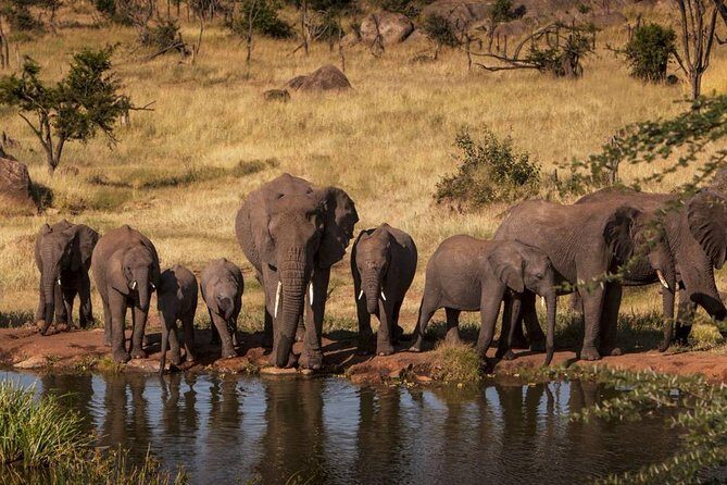 12 Days Amazing Tanzania Wildlife and Cultural Experience - The Itinerary Breakdown: What Youll Get