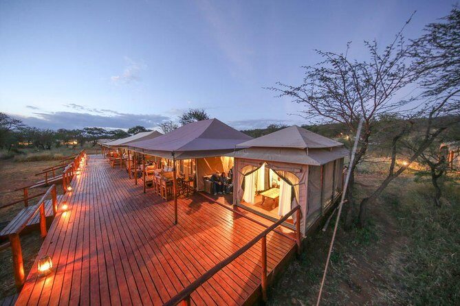 12 Days Amazing Tanzania Wildlife and Cultural Experience - Who Should Consider This Safari?