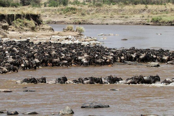 12 Days Amazing Tanzania Wildlife and Cultural Experience - The Sum Up