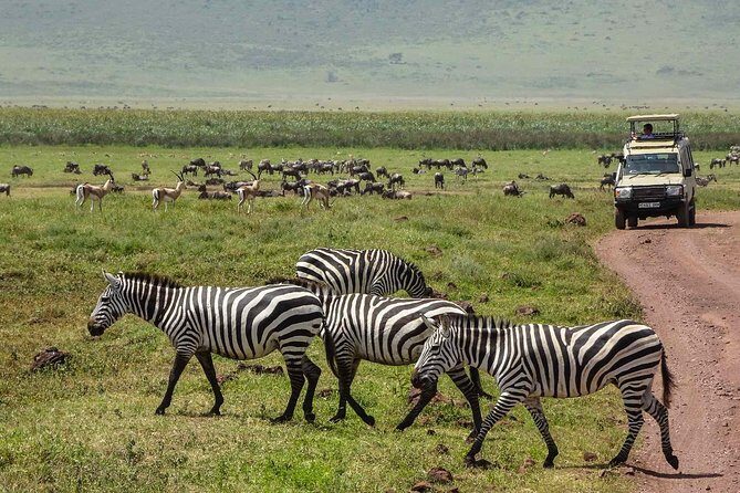 12 Days Amazing Tanzania Wildlife and Cultural Experience - FAQ