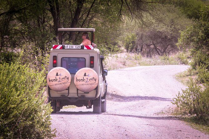 12 Days Best Of Kenya and Tanzania Safari - Luxury - An In-Depth Look at the 12-Day Itinerary