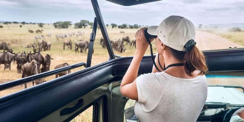 12 Days Best Of Tanzania Safari and Zanzibar Beach Tour - 12 Days Best Of Tanzania Safari and Zanzibar Beach Tour: A Complete Review