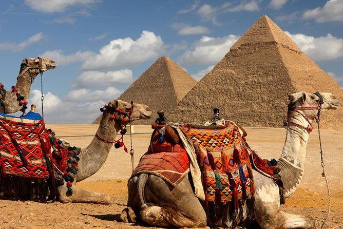 12 Days Cairo - Alexandria and Nile Cruise by Flight (Ancient Egypt) - A Complete Look at What the Tour Offers