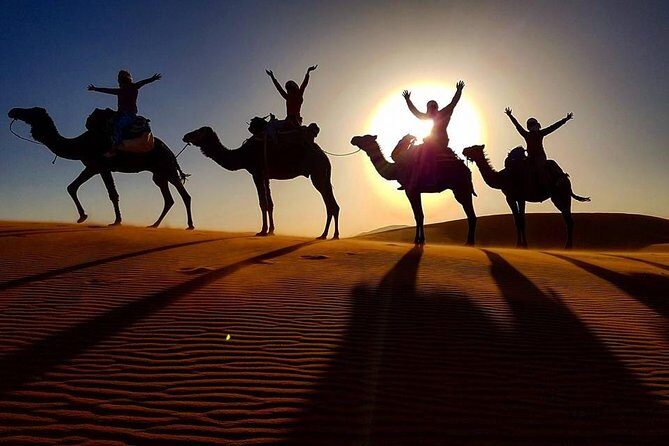 12 Days From Casablanca- Cultural Immersion Tour - Key Points
