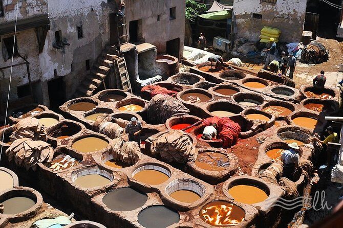 12 Days From Casablanca- Cultural Immersion Tour - Practical Considerations