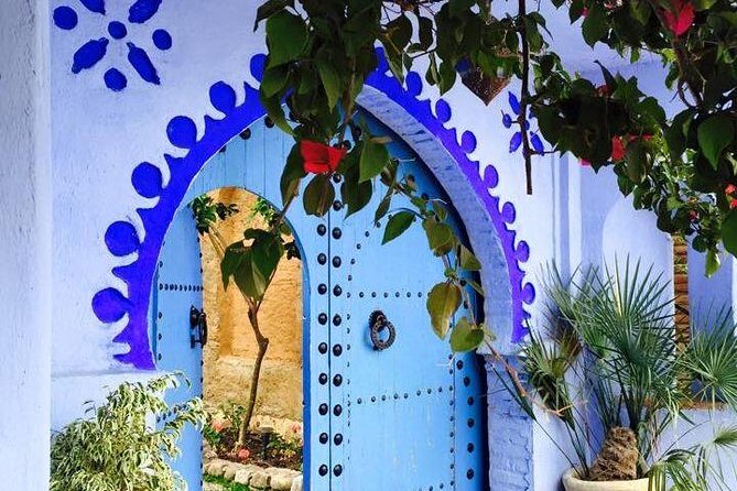 12 Days From Casablanca- Cultural Immersion Tour - Who This Tour is Best For