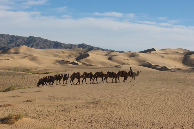 12 Days Gobi Desert and Express Mongolia - FAQ