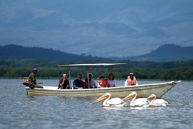 12 Days Kenya and Tanzania Budget Private Safari from Nairobi - Detailed Day-by-Day Breakdown