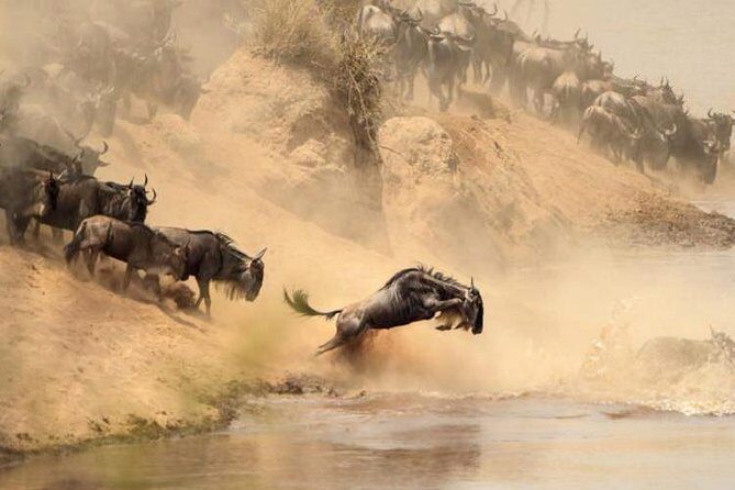 12 days Kenya and Tanzania safari private lodge from Nairobi - The Itinerary in Detail
