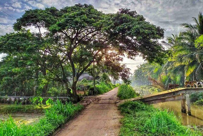 12 Days Private Explore Vietnam Culture & Heritage North to South - An In-Depth Look at the 12-Day Vietnam Tour