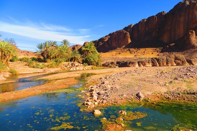 12 Days Private Tour in Morocco: Cities, Atlas and Desert - Starting in Marrakech and Exploring Essaouira