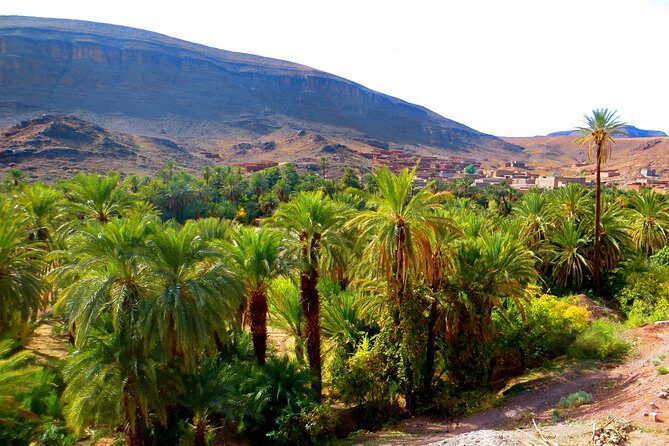 12 Days Private Tour in Morocco: Cities, Atlas and Desert - The Final Leg: From the Dades Valley to Ouarzazate and Marrakech