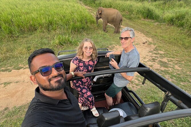 12 days Sri Lanka Round Tour private vehicle BB Accommodation - Starting Strong: Dambulla Cave Temple & Minneriya Safari