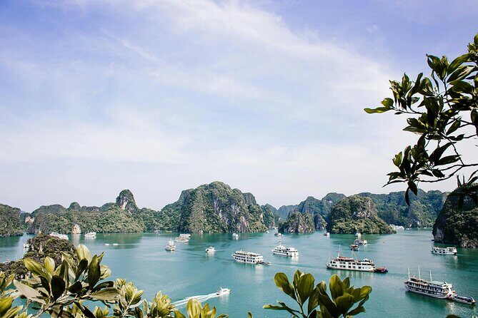 12 Days Vietnam Tour Package - Who Is This Tour Best For?